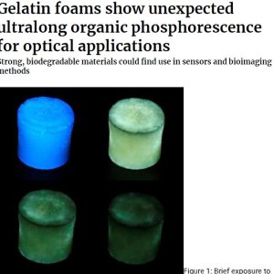 Gelatin foams show unexpected ultralong organic phosphorescence for optical applications