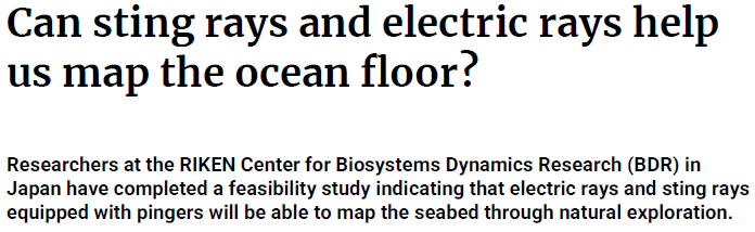 Read more about the article Can sting rays and electric rays help us map the ocean floor