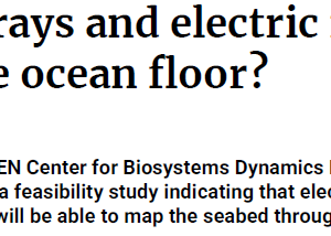 Can sting rays and electric rays help us map the ocean floor