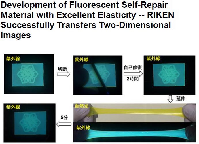 Read more about the article Development of Fluorescent Self-Repair Material with Excellent Elasticity — RIKEN Successfully Transfers Two-Dimensional Images