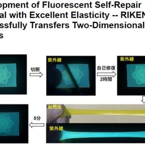 Development of Fluorescent Self-Repair Material with Excellent Elasticity — RIKEN Successfully Transfers Two-Dimensional Images
