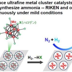 Produce ultrafine metal cluster catalysts that can synthesize ammonia — RIKEN and others continuously under mild conditions
