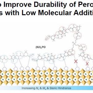 A Study to Improve Durability of Perovskite Solar Cells with Low Molecular Additives