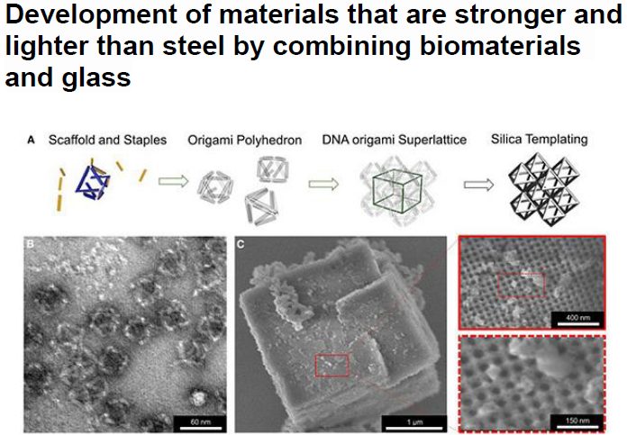 Read more about the article Development of materials that are stronger and lighter than steel by combining biomaterials and glass