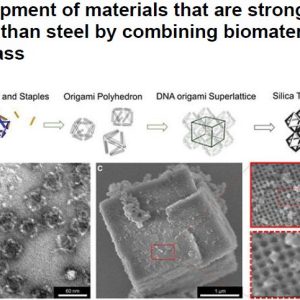 Development of materials that are stronger and lighter than steel by combining biomaterials and glass