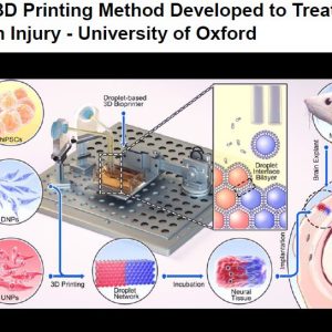 Bio-3D Printing Method Developed to Treat Brain Injury – University of Oxford