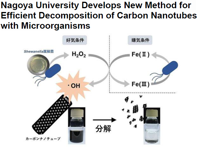 Read more about the article Nagoya University Develops New Method for Efficient Decomposition of Carbon Nanotubes with Microorganisms