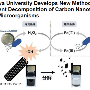 Nagoya University Develops New Method for Efficient Decomposition of Carbon Nanotubes with Microorganisms