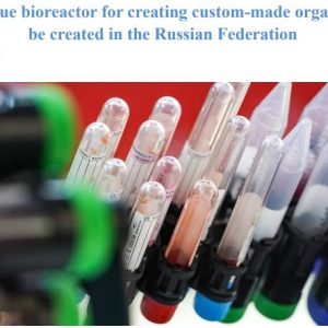 A unique bioreactor for creating custom-made organs will be created in the Russian Federation