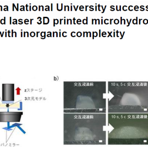 Yokohama National University successfully combined laser 3D printed microhydrogel models with inorganic complexity