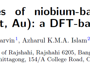 Physical properties of niobium-based intermetallics (Nb₃B; B = Os, Pt, Au) a DFT-based ab-initio study
