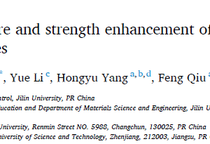 Role of V in microstructure and strength enhancement of 4 vol% nano-TiB2_TiAl composites