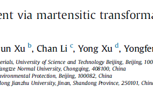 Microstructure refinement via martensitic transformation in TiAl alloys