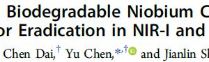 A Two-Dimensional Biodegradable Niobium Carbide (MXene) for Photothermal Tumor Eradication in NIR‑I and NIR-II Biowindows