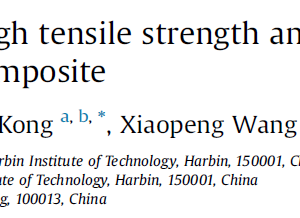 Fracture mechanism of a high tensile strength and fracture toughness Ti6Al4Ve-TiAl laminated composite