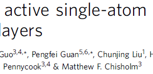 Catalytically active single-atom niobium in graphitic layers