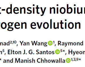 Ultrahigh-current-density niobium disulfide catalysts for hydrogen evolution