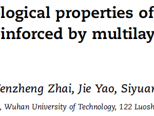 Preparation and tribological properties of TiAl matrix composites reinforced by multilayer graphene