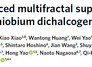 Disorder-induced multifractal superconductivity in monolayer niobium dichalcogenides