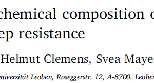 Tailoring microstructure and chemical composition of advanced γ-TiAl based alloys for improved creep resistance