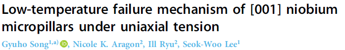 Read more about the article Low-temperature failure mechanism of [001] niobium micropillars under uniaxial tension