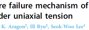 Low-temperature failure mechanism of [001] niobium micropillars under uniaxial tension