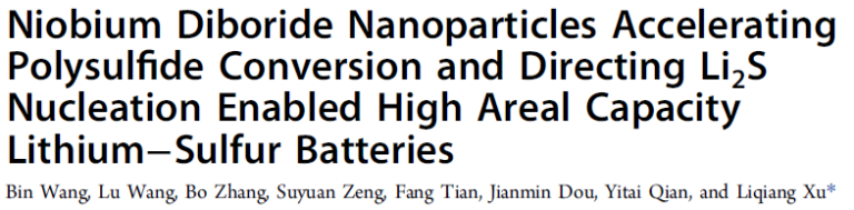 Read more about the article Niobium Diboride Nanoparticles Accelerating Polysulfide Conversion and Directing Li₂S Nucleation Enabled High Areal Capacity Lithium−Sulfur Batteries