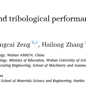 Microstructure, mechanical and tribological performances of a directionally solidified γ-TiAl alloy