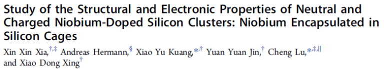 Read more about the article Study of the Structural and Electronic Properties of Neutral and Charged Niobium-Doped Silicon Clusters Niobium Encapsulated in Silicon Cages