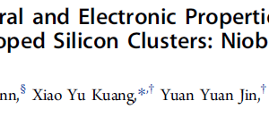 Study of the Structural and Electronic Properties of Neutral and Charged Niobium-Doped Silicon Clusters Niobium Encapsulated in Silicon Cages