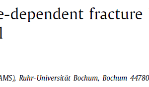 Unravelling the lamellar size-dependent fracture behavior of fully lamellar intermetallic γ-TiAl