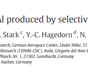 Microstructure stability of γ-TiAl produced by selective laser melting