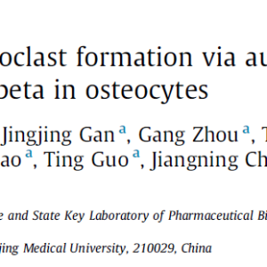 TiAl6V4 particles promote osteoclast formation via autophagy-mediated downregulation of interferon-beta in osteocytes