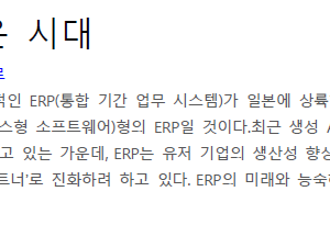 ERP의 새로운 시대