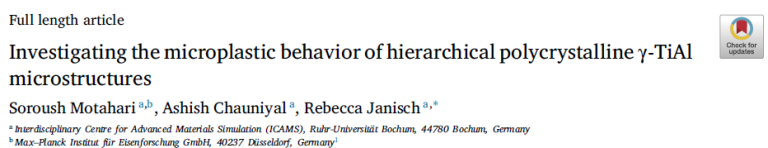 Read more about the article Investigating the microplastic behavior of hierarchical polycrystalline γ-TiAl microstructures