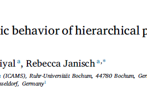 Investigating the microplastic behavior of hierarchical polycrystalline γ-TiAl microstructures