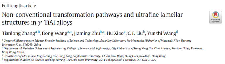 Read more about the article Non-conventional transformation pathways and ultrafine lamellar structures in γ-TiAl alloys