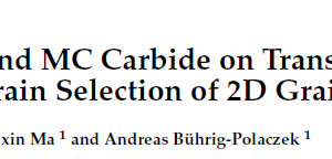 Influence of Hf and MC Carbide on Transverse Platform in Single Crystal Grain Selection of 2D Grain Selector