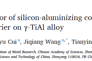 Long-term oxidation behavior of silicon-aluminizing coating with an in-situ formed Ti5Si3 diffusion barrier on γ-TiAl alloy