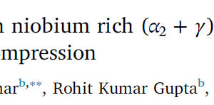 Evolution of microstructure in niobium rich (α2 + γ) based titanium aluminide alloy during hot compression