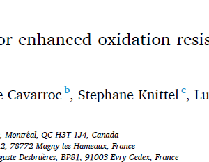 Protective TixSiy coatings for enhanced oxidation resistance of the ɣ-TiAl alloy at 900℃