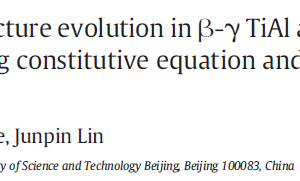 Characterization of microstructure evolution in β-γ TiAl alloy containing high content of Niobium using constitutive equation and power dissipation map