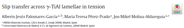 Read more about the article Slip transfer across γ-TiAl lamellae in tension