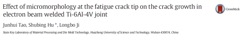 Read more about the article Effect of micromorphology at the fatigue crack tip on the crack growth in electron beam welded Ti-6Al-4V joint