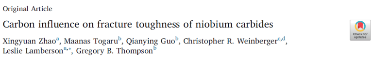 Read more about the article Carbon influence on fracture toughness of niobium carbides