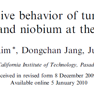 Tensile and compressive behavior of tungsten, molybdenum, tantalum and niobium at the nanoscale