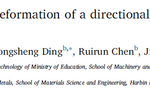 On the high temperature deformation of a directionally solidified γ-TiAl alloy