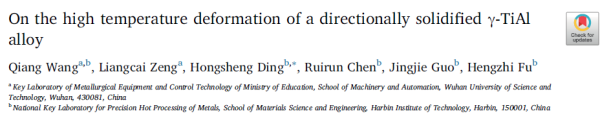 On the high temperature deformation of a directionally solidified γ-TiAl alloy