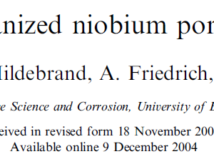 Formation of self-organized niobium porous oxide on niobium