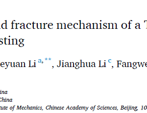 Microstructure evolution and fracture mechanism of a TiAl–Nb alloy during high-temperature tensile testing